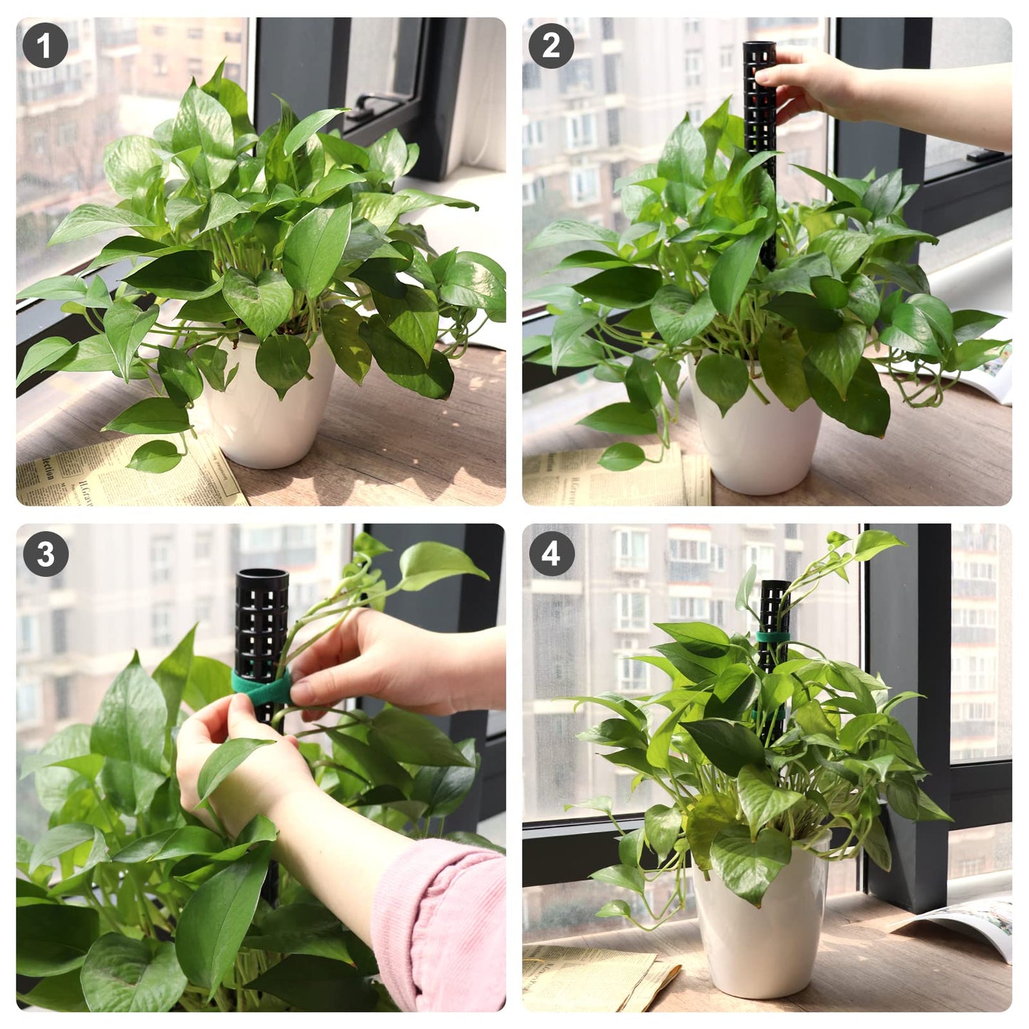 LangRay Moss Pole for Climbing Plants Monstera, Indoor Plant Supports, Plastic Moss Stick, Plant Stake for Garden, Extension Aid Climbing Rob (Black, 6pcs 10inch)