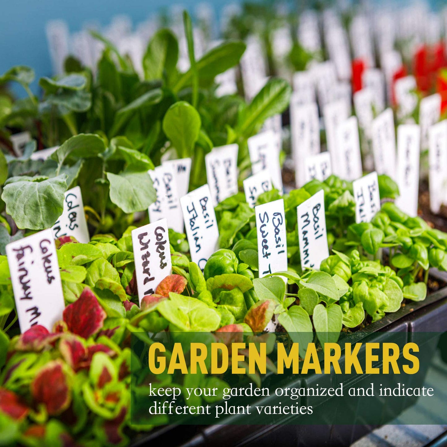 homenote Peat Pots, 4 Inch Seed Starting Pots with Drainage Holes Round(30 Pcs) with 4 Inch Plastic Plant Labels Waterproof Plant Tags(200 Pcs)