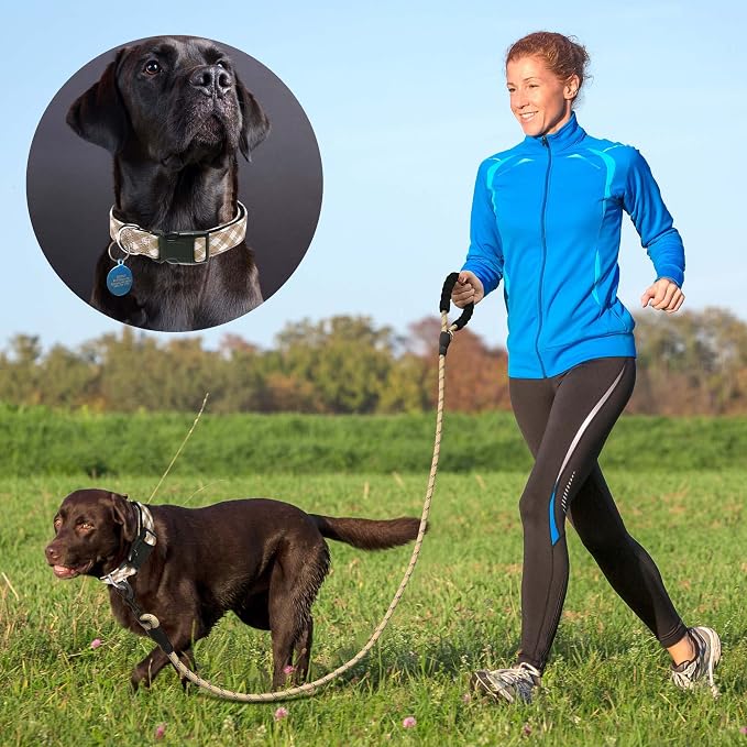Ladoogo Reflective Dog Collar Padded with Soft Neoprene Breathable Adjustable Nylon Dog Collars for Small Medium Large Dogs (Medium (Pack of 1), Vanilla Plaid Collar+Leash)