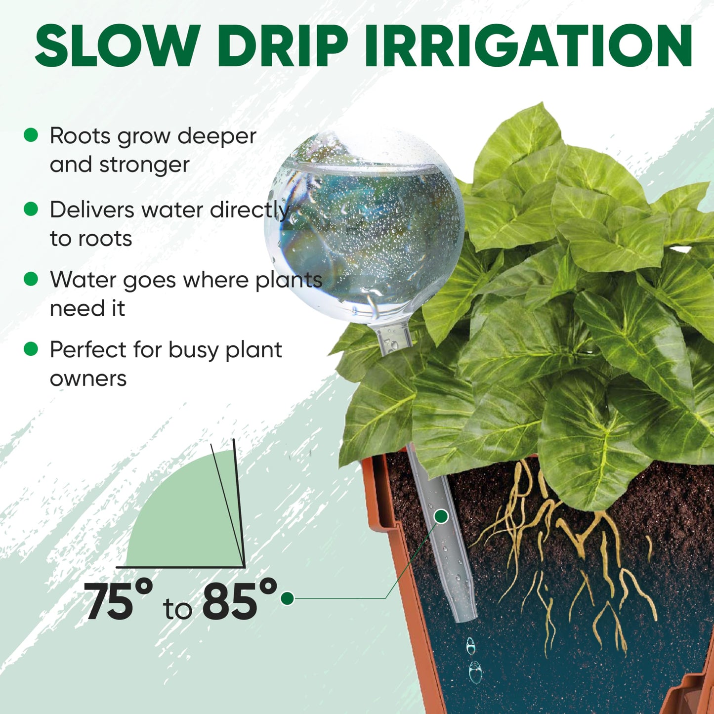 Mission Gallery Clear Plant Watering Globes Set of 6 - Small Self Watering Globes for Indoor & Outdoor Plants - Automatic, Glass Watering Bulbs for Daily Use, Plant Watering Devices