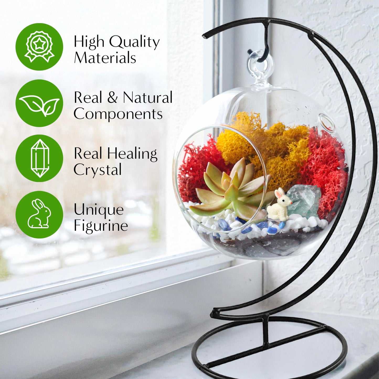 Creations by Nathalie DIY 5" DIY Globe Terrarium Kit - Build Your Own Glass Terrarium for Adults & Teens with Moss, Crystals, Tools & Decorative Figurine - Mini Ecosystem (Plant Not Included)