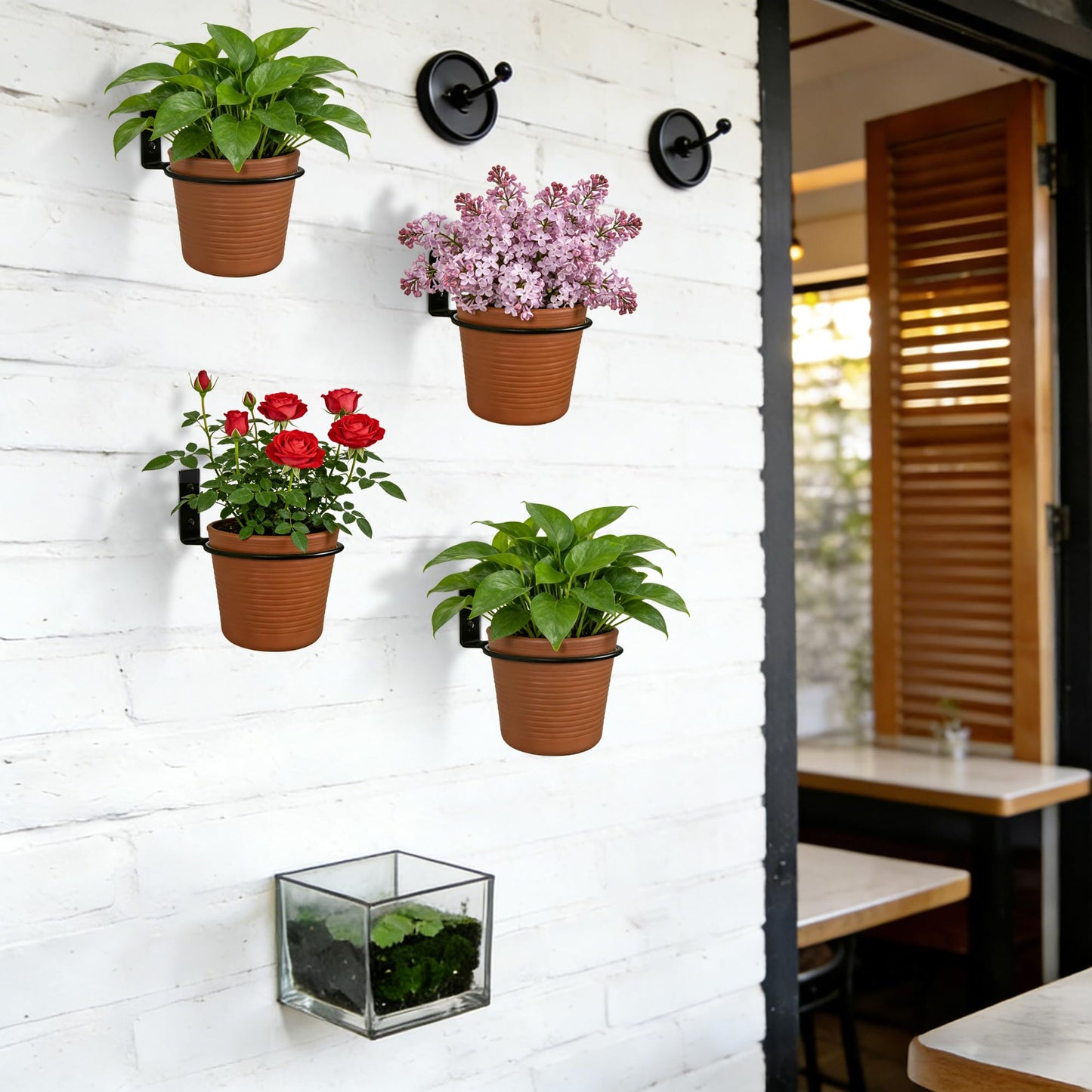 WYIPOLZI 6 Pack 4 Inch Flower Pot Holder Ring Wall Mount, Metal Plant Holder Rings with 12 Screws & 12 Bolts, Potted Planter Brackets for Indoor Outdoor Garden, Patio,Black
