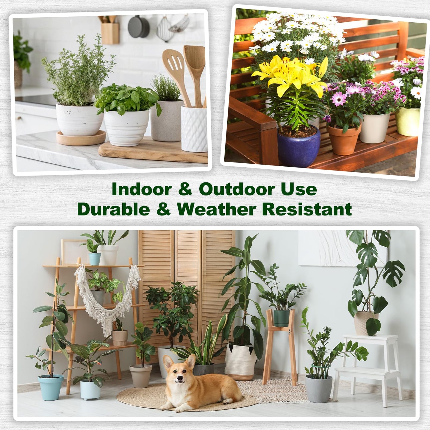 REDPOPO 6pcs Plant Pot Grids, 16 in Thickened Plastic Plant Pot Cover Cat Digging Stopper with Stakes, Plant Protector from Cats Indoor, Potted Guard Cover Easy to Cut Anti Digging for Dogs