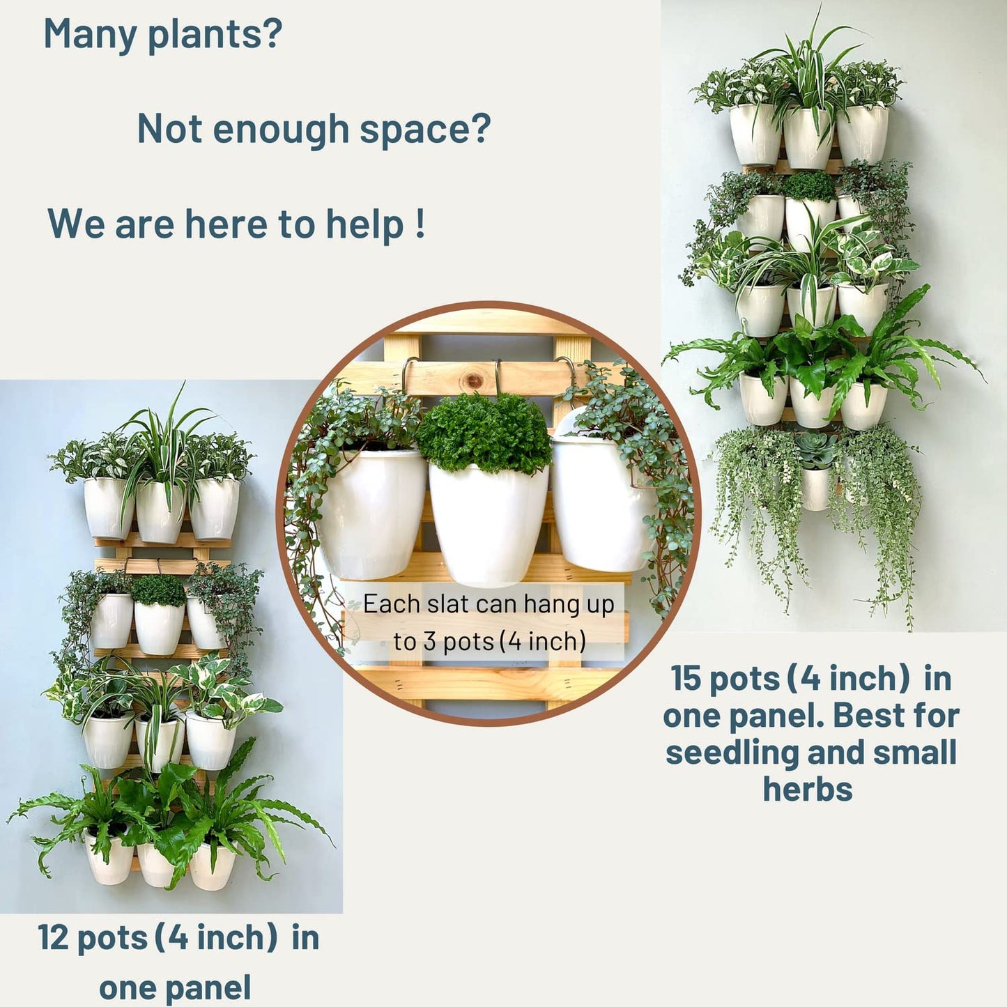 ShopLaLa Bundle - 4" White Self Watering Plastic Pots x 10 Pack + White Wooden Hanging Planter, Rustic Vertical Herb Garden Plant Holder Wall Mounted Modern Hydroponic Herb Pot LaLaGreen