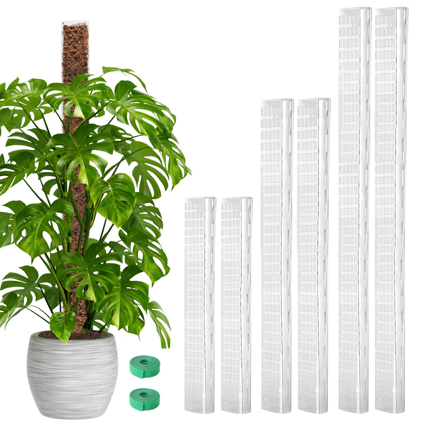 EOX 6 Pack 24" x2 + 36" x2 + 48" x2 Plastic Moss Pole for Monstera, Large D Shaped Poles for Climbing Plants Work with Sphagnum Moss, 210 Inch Total