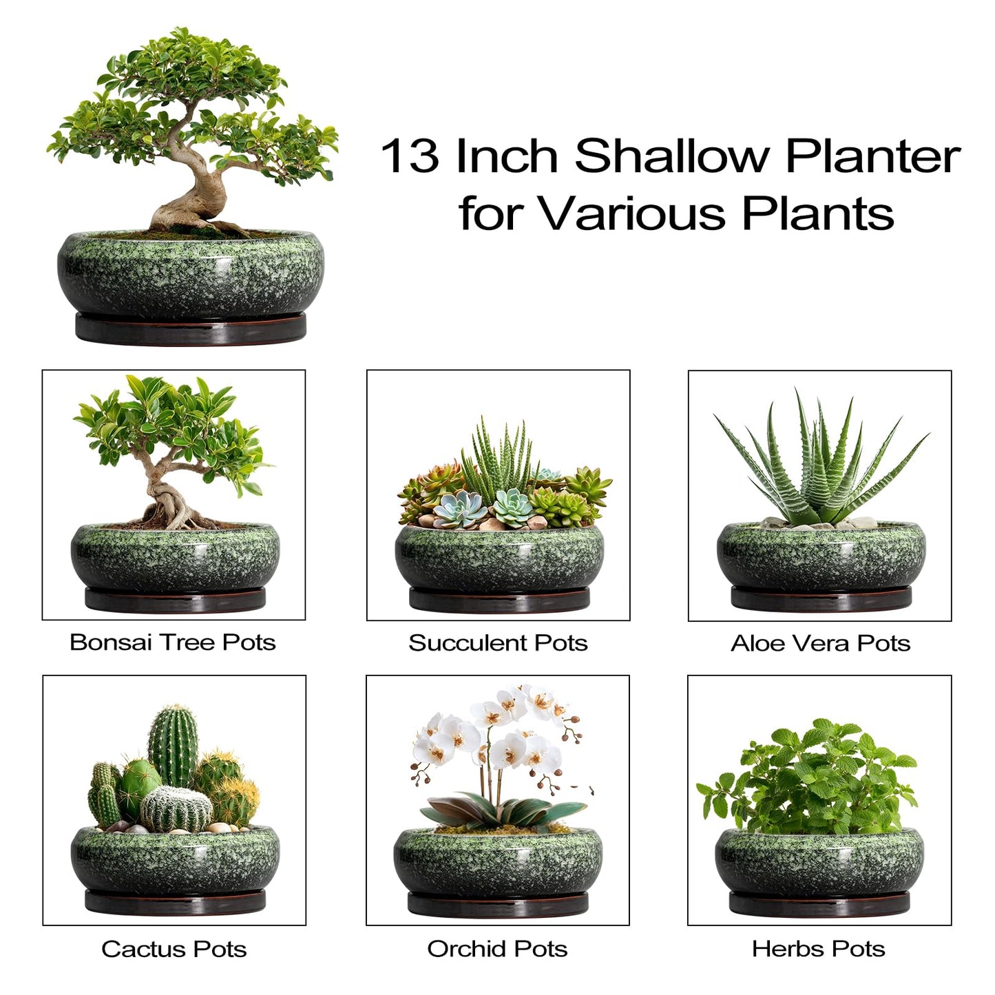 EPFamily Bonsai Pots - 13 Inch Ceramic Succulent Planters Indoor, Round Shallow Planter with Drainage Hole and Saucer, Large Succulent Pot, Bowl Planter Outdoor, House Decor, Housewarming Gift, Green