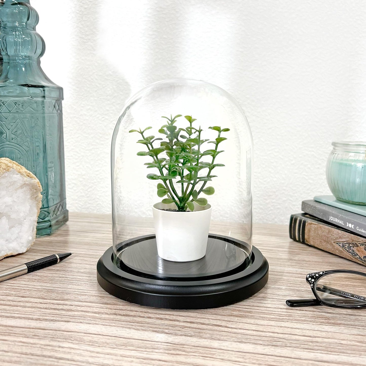 Plymor 4.5" x 6" Glass Display Dome Cloche (Black MDF Wood Base)