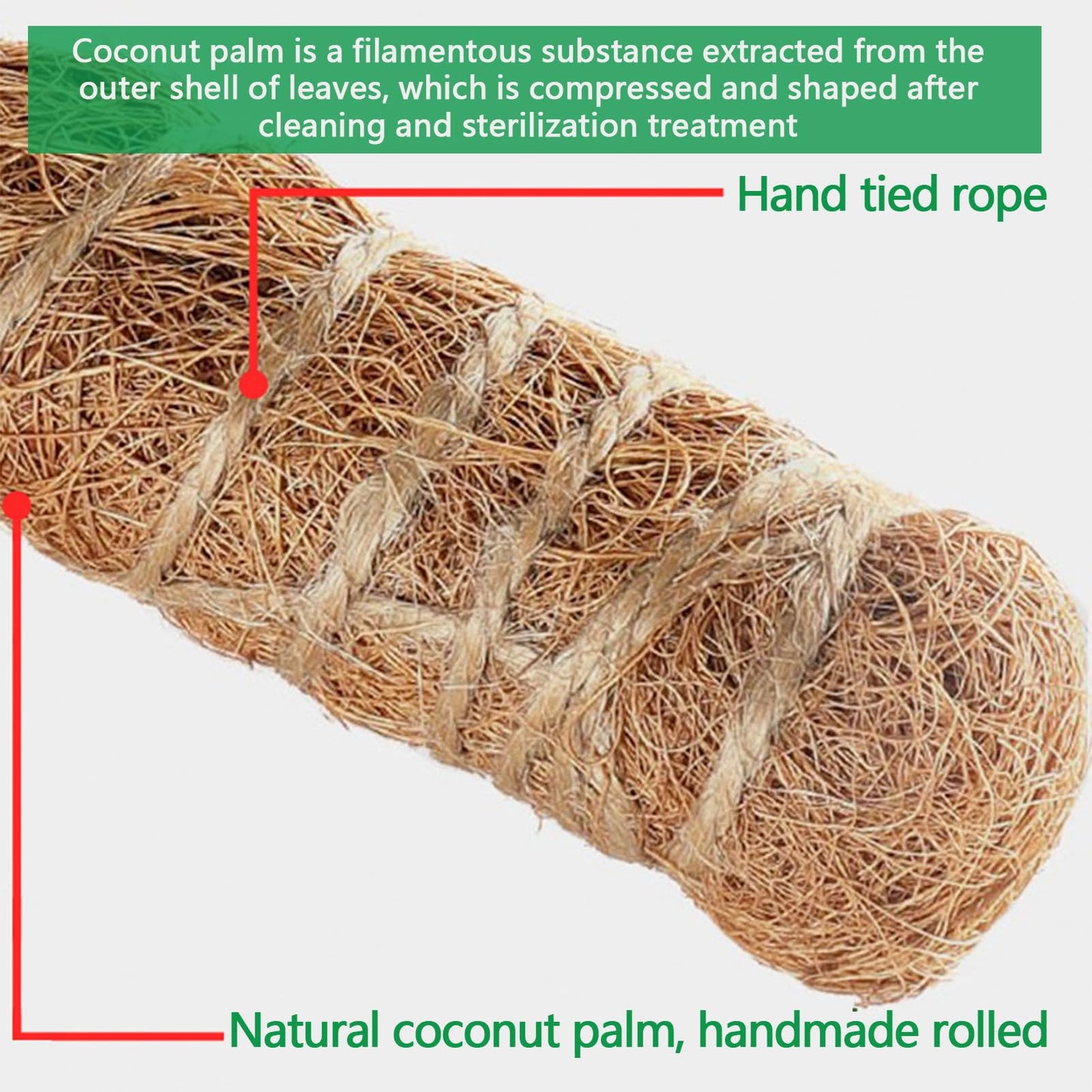 3 Pack Moss Pole,31 Inch Monstera Plant Support,Bendable Plant Trellis Moss Pole for Plants Monstera,Moss Poles for Climbing Plants Indoor,Coir Plant Pole Sticks Support Stakes (3pcs)