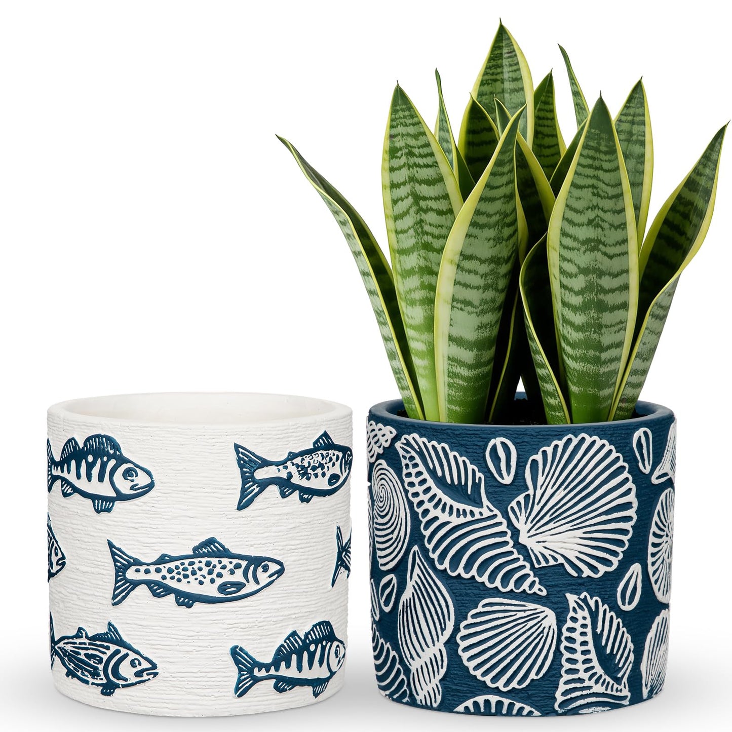 Nature Crafted Ceramic Plant Pots, 5.5 Inch Planter Pot with Drainage Hole, Shell Fish Patterns Ceramic Planters Flower Pot for Indoor Home Succulent Flower Orchid Plants, Set of 2