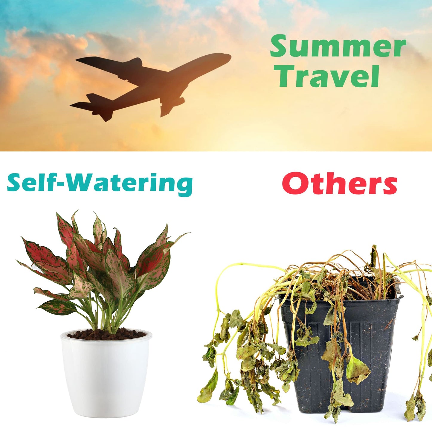 DEELF OUTLET 6 Pack 6.7" Self-Watering Planters Flower Pots for Indoor Garden Devil's Ivy, African Violet, Ocean Spider Plant, Orchid, White Color