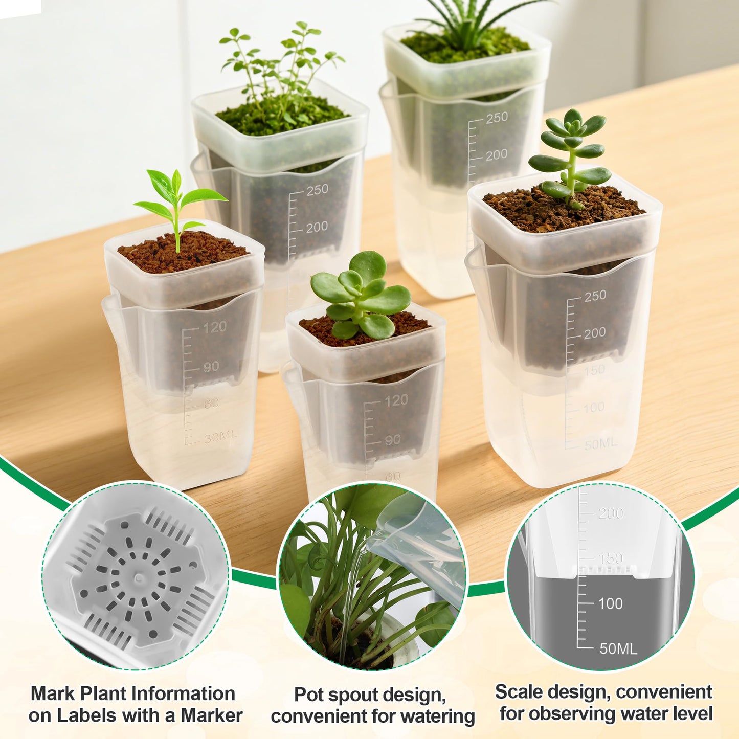 Windspeed 6+6P Mini Clear Self Watering Pots with Indicator 2.5 in 2 in Semi Clear Hydroponic Pots for Indoor Small Plants, Mini Self Watering Planters with Water Level Markings, Drainage Hole