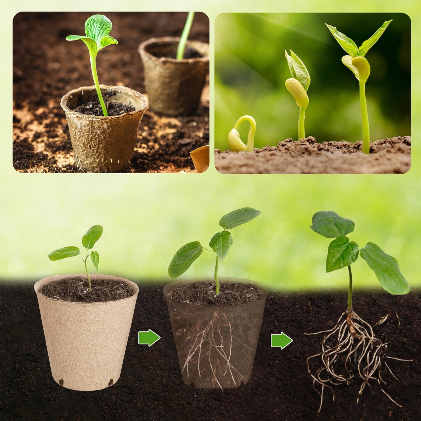 ModaSin 131 Pcs Organic Peat Pots, 3.15 Inch Nursery Pot, Round Plant Seedling Pots with Drainage Holes, Small Seed Starting Starter Tray Bulk, Garden Germination Container with 131 Planting Labels