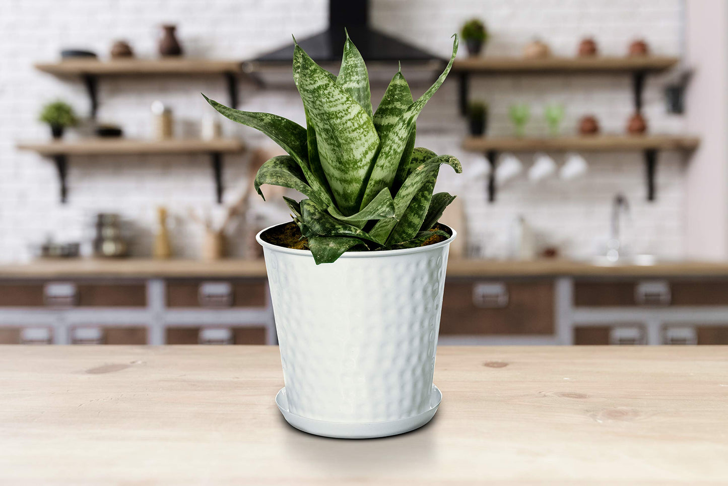 Monarch Abode 20010 Indoor Plants (Set of 3) Hand Hammered Flower Succulent Pots Planter with Drainage Hole, Classic White