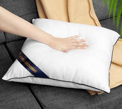 Utopia Bedding Throw Pillow Inserts (Pack of 2, White), 22 x 22 Inches Decorative Indoor Pillows for Sofa, Bed, Couch, Cushion Sham Stuffer
