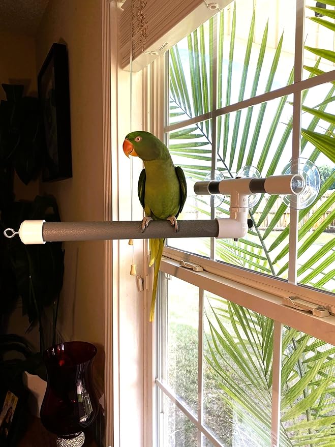 Polly's Portable Window-Shower Perch with Suction Cups for Cockatiels, Macaws, African Greys (Deluxe, Large)