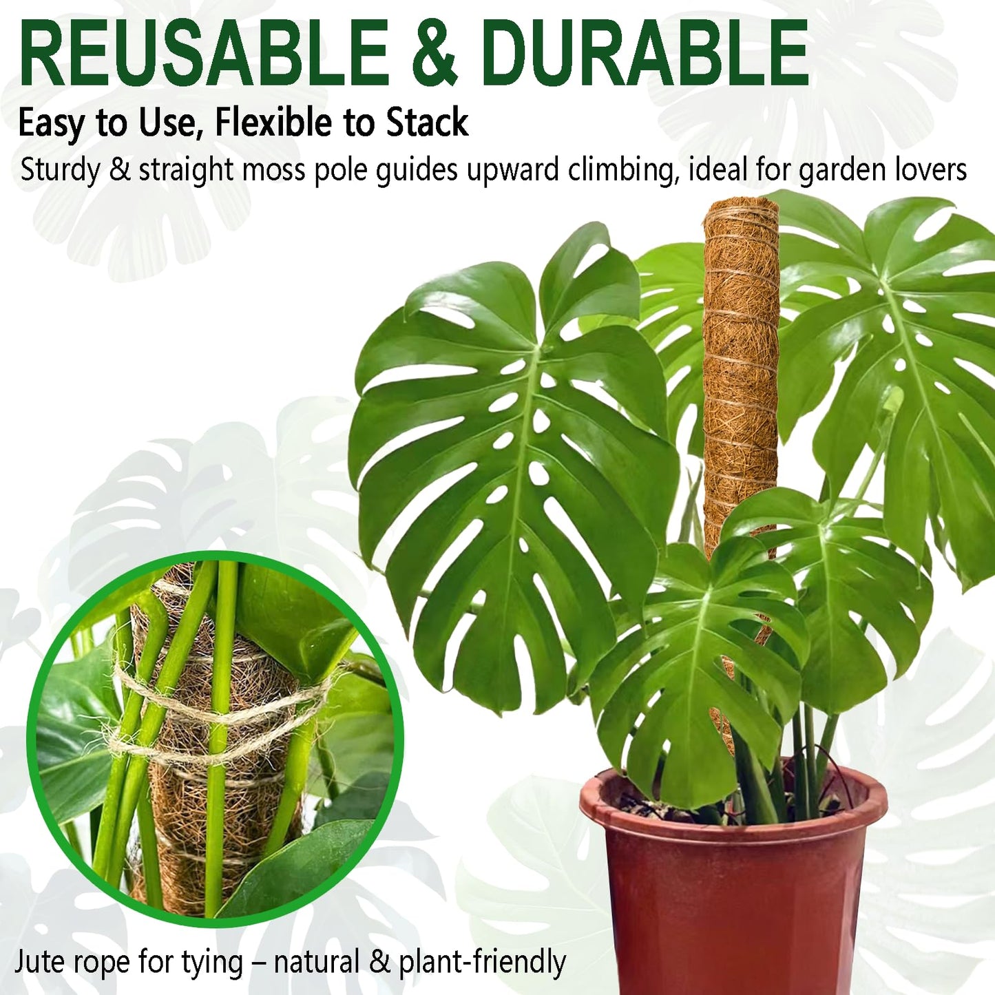 Soupiar 2 Pack 22 Inch Stackable Moss Pole - Thick & Sturdy Natural Coir Totem Plant Support & Garden Stakes for Monstera & Pothos, Indoor Climbing Vining Houseplants, 38" H Max