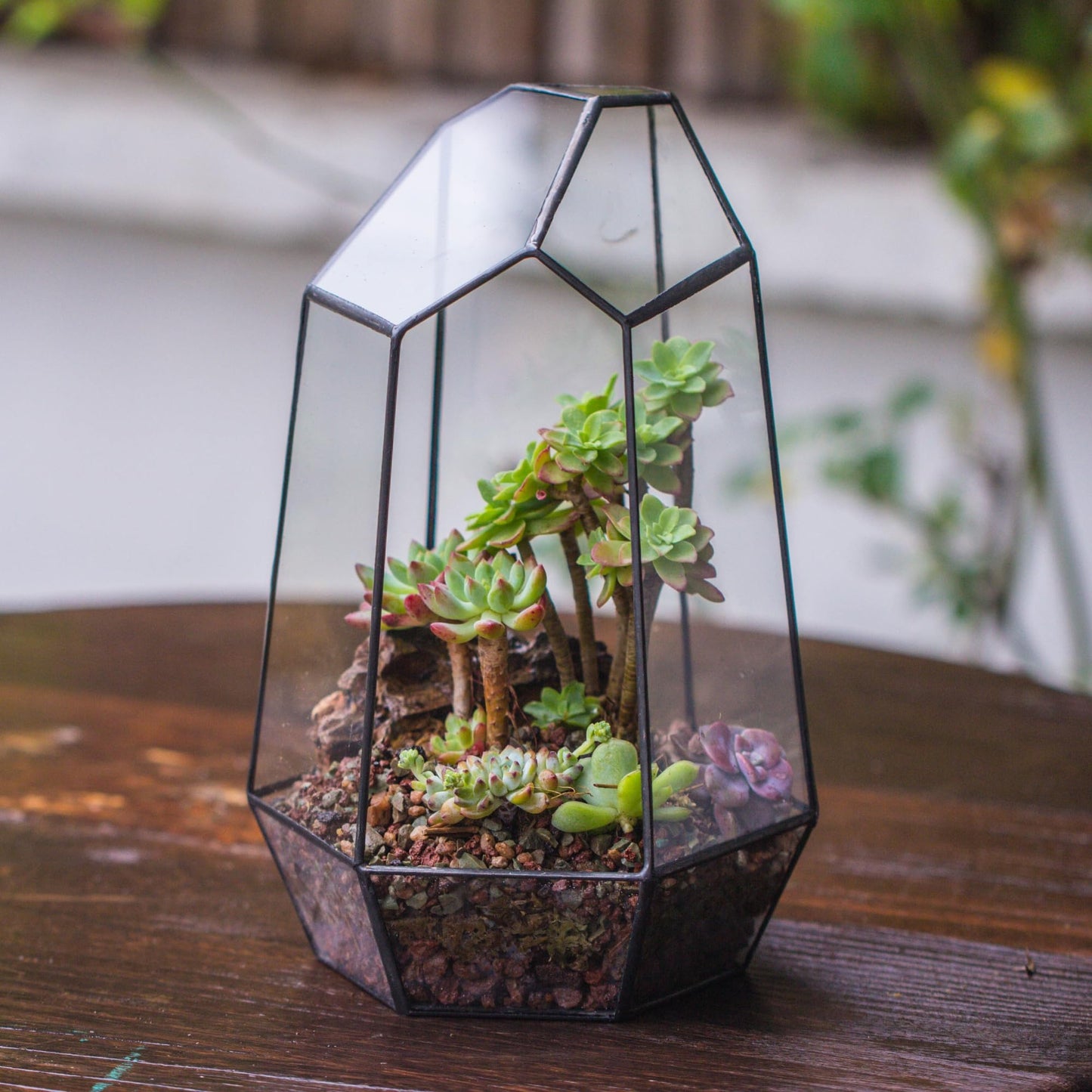 NCYP No Door Geometric Glass Terrarium Planter for Small Succulent, Small Cacti, Black Irregular Opened Terrarium Pot, Indoor Home Garden Office Tabletop Decor, 6.5" x 5.7" x 9.8" (No Plants)
