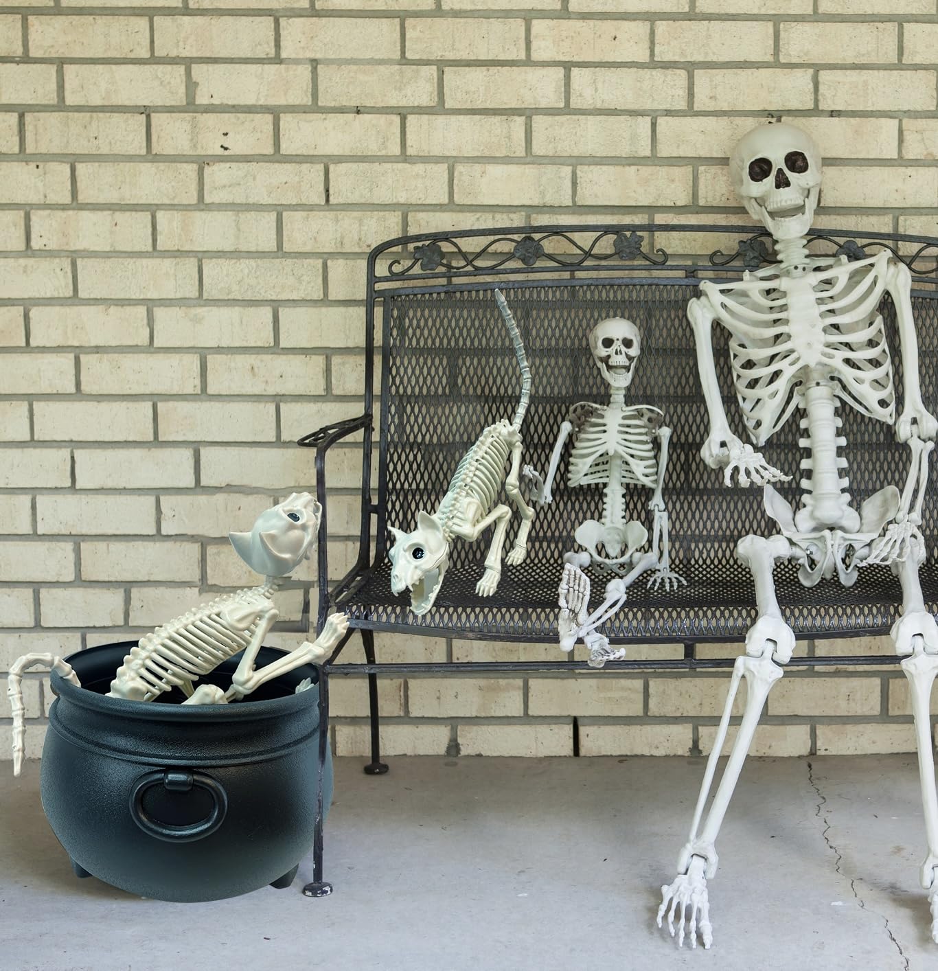 GIFTEXPRESS 2 Pack Real Size Cat Skeleton - 20" Long Creepy Kitten Skeletons with Posable Tail Halloween Decor - Indoor & Outdoor Haunted House Scary Animal Party Decoration
