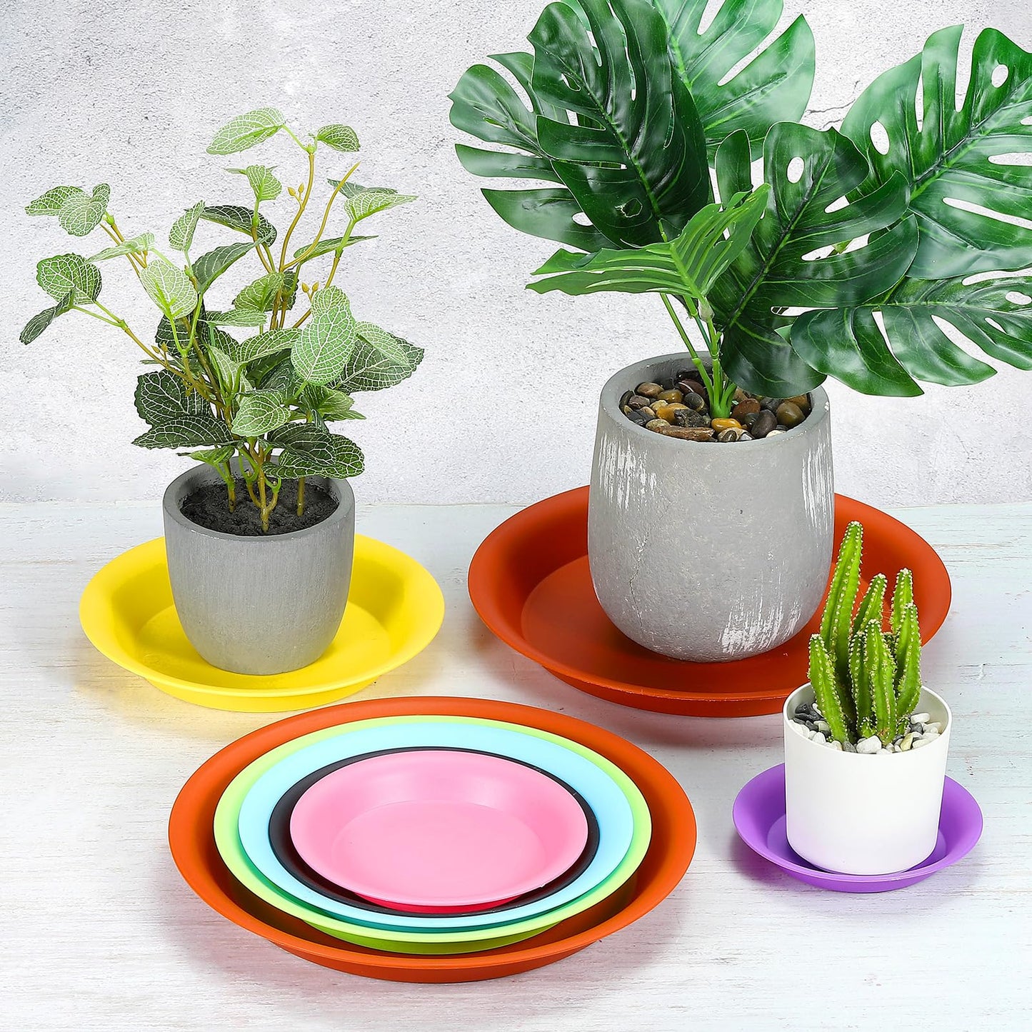 PATIKIL 10 Inch Plant Saucer Tray, 5 Pack Plastic Drip Tray Round Collects Excess Water Flower Pot Drainage Trays for Heavy Indoor Outdoor Pan, Green