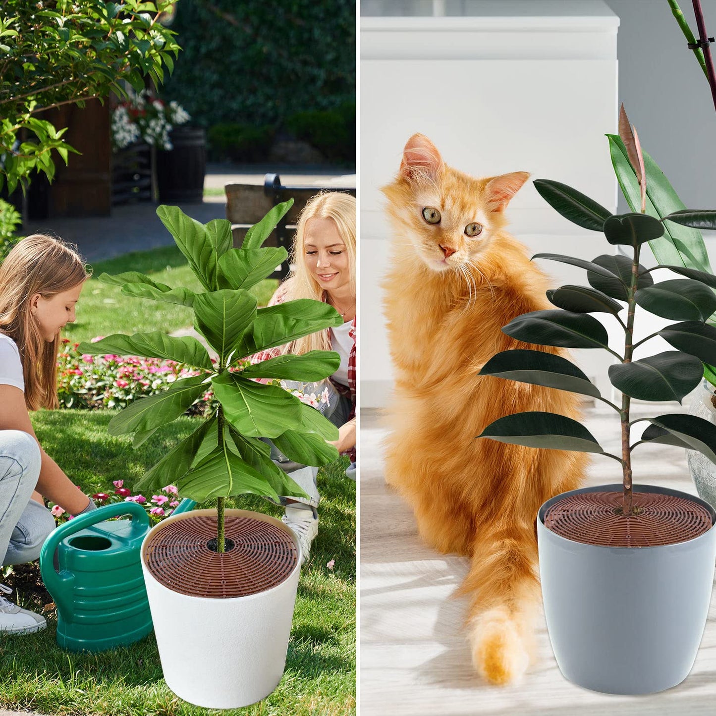 YGAOHF 5 Pcs 20.8" Plant Pot Grid Cover, Cuttable Grid Flower Pot Cover with 60 Stakes, Large Plastic Plant Pot Soil Protector with Center Cutout, Pet Cat Digging Stopper