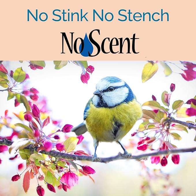No Scent Bird Cage Cleaner Spray & Pet Odor Management, Natural Aviary Freshener (32 Fl Oz / 946 mL)