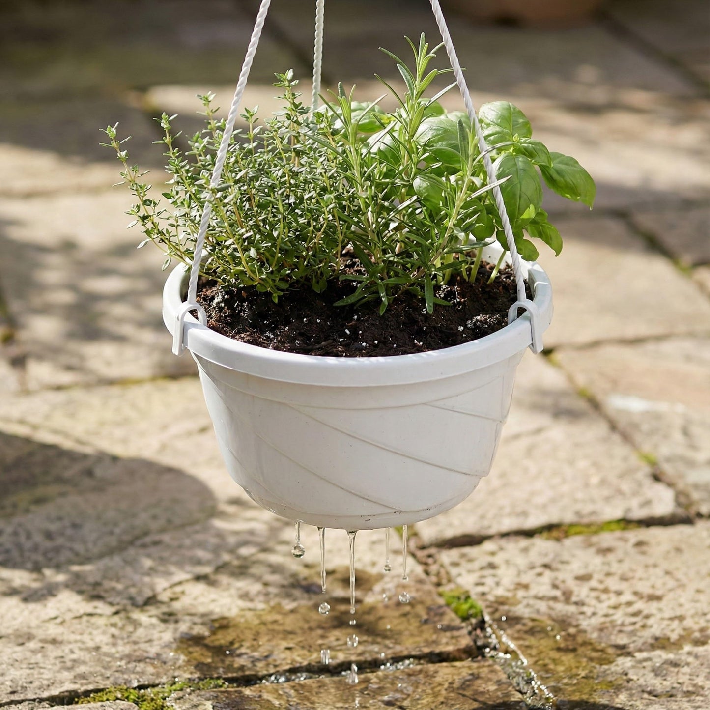 Toddmomy 10Pcs Plastic Hanging Planter with Hooks, Hanging Orchid Pot Flower Pots Baskets Nursery Planter Holder for Plants Outdoor Indoor Garden Balcony