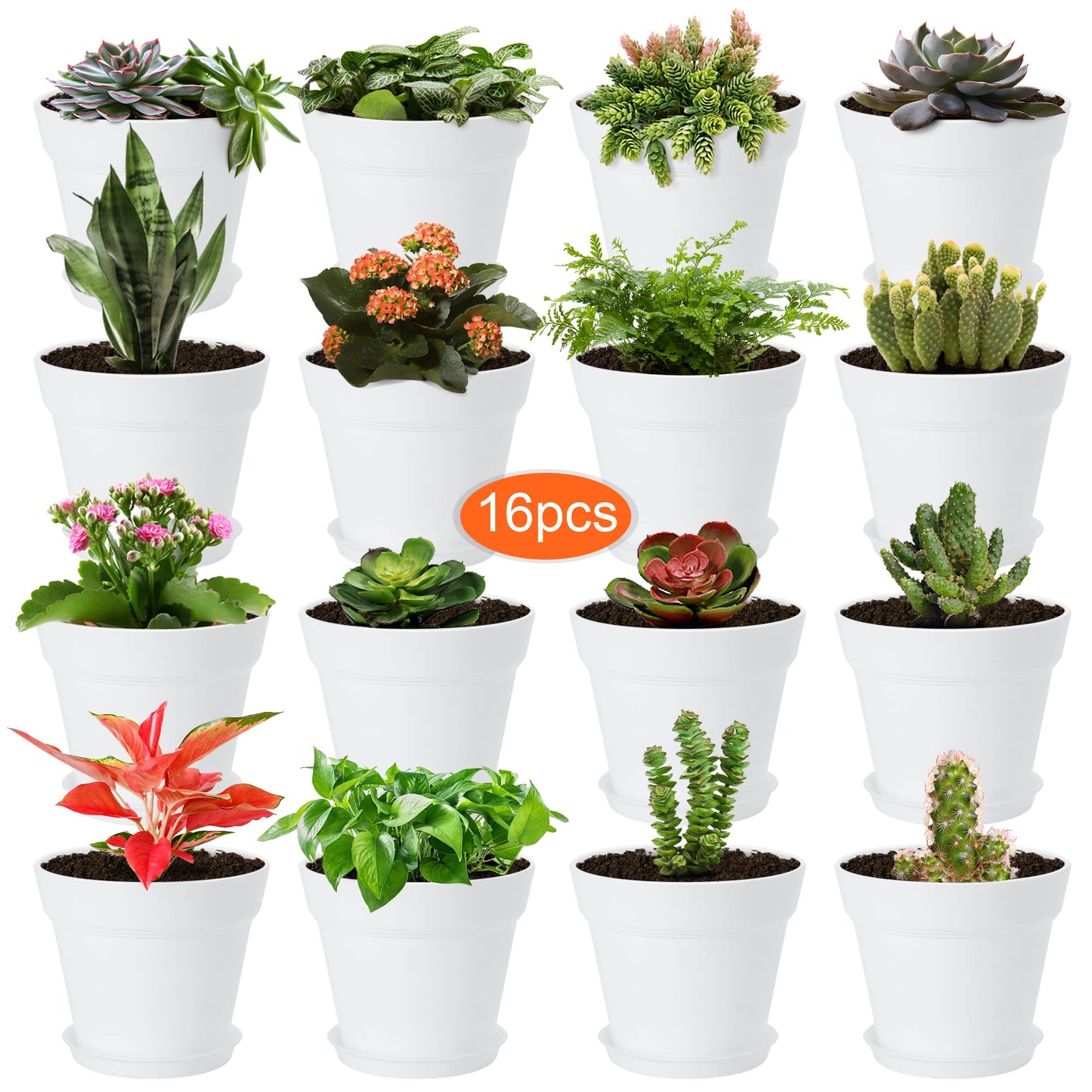 FHWTY 16 Pack Plastic Plant Pots BK & 16 Pack Plastic Plant Pots WH