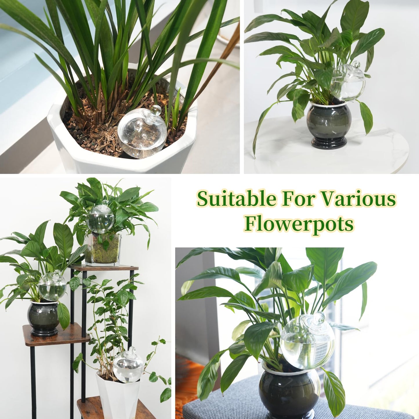 4pcs Plant Self Watering Globes with Covers, Plastic Water Bulbs Top Fill, Plant Watering Devices System Slow Release Terracotta, Water Spikes Stakes for Indoor (4)