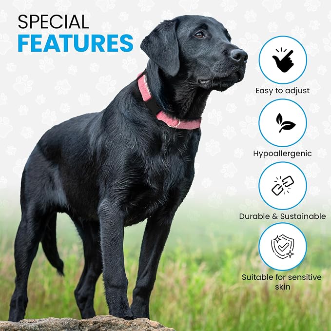 Hypoallergenic Dog Collar - Great for Sensitive Skin, Soft Collar for Dogs, Soft Organic & Earth Friendly (X-Large, Red)