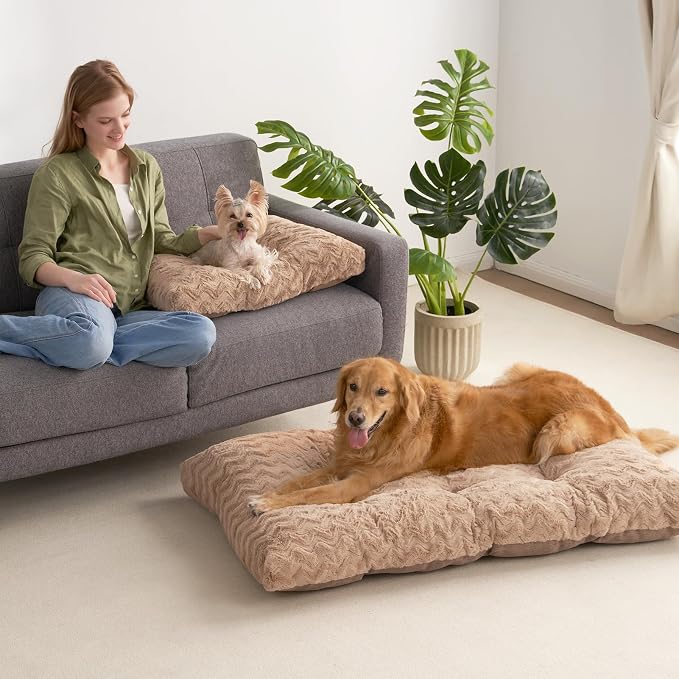 EHEYCIGA Washable Small Dog Bed for Crate 23x18 Inch, Kennel Pad for Puppy Up to 25 lbs, Plush and Comfy Pet Sleeping Mat, Camel