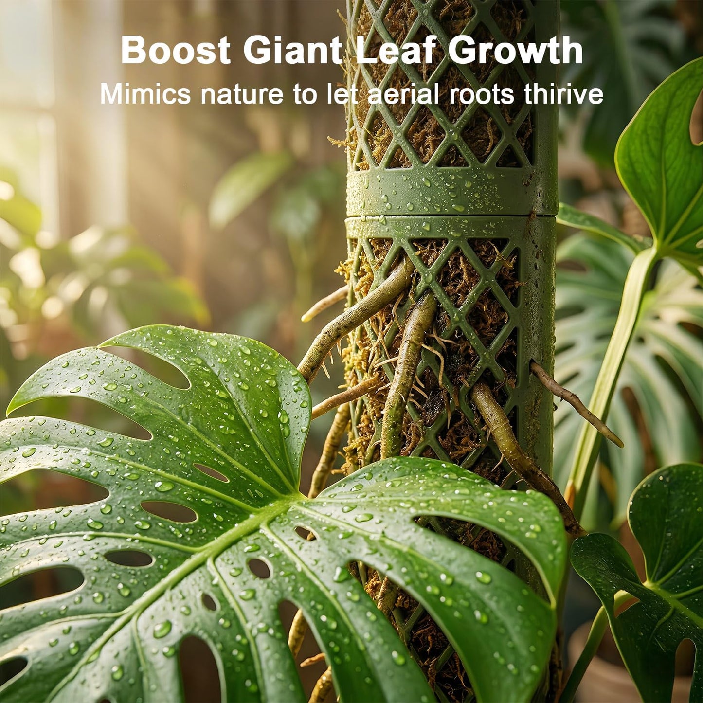 Moss Pole Monstera Plant Support - 42.5" Stackable D-Shape Stakes for Indoor Plants - No-Rot Plastic Sticks & Tall Trellis for Pothos Climbing Vines Houseplant