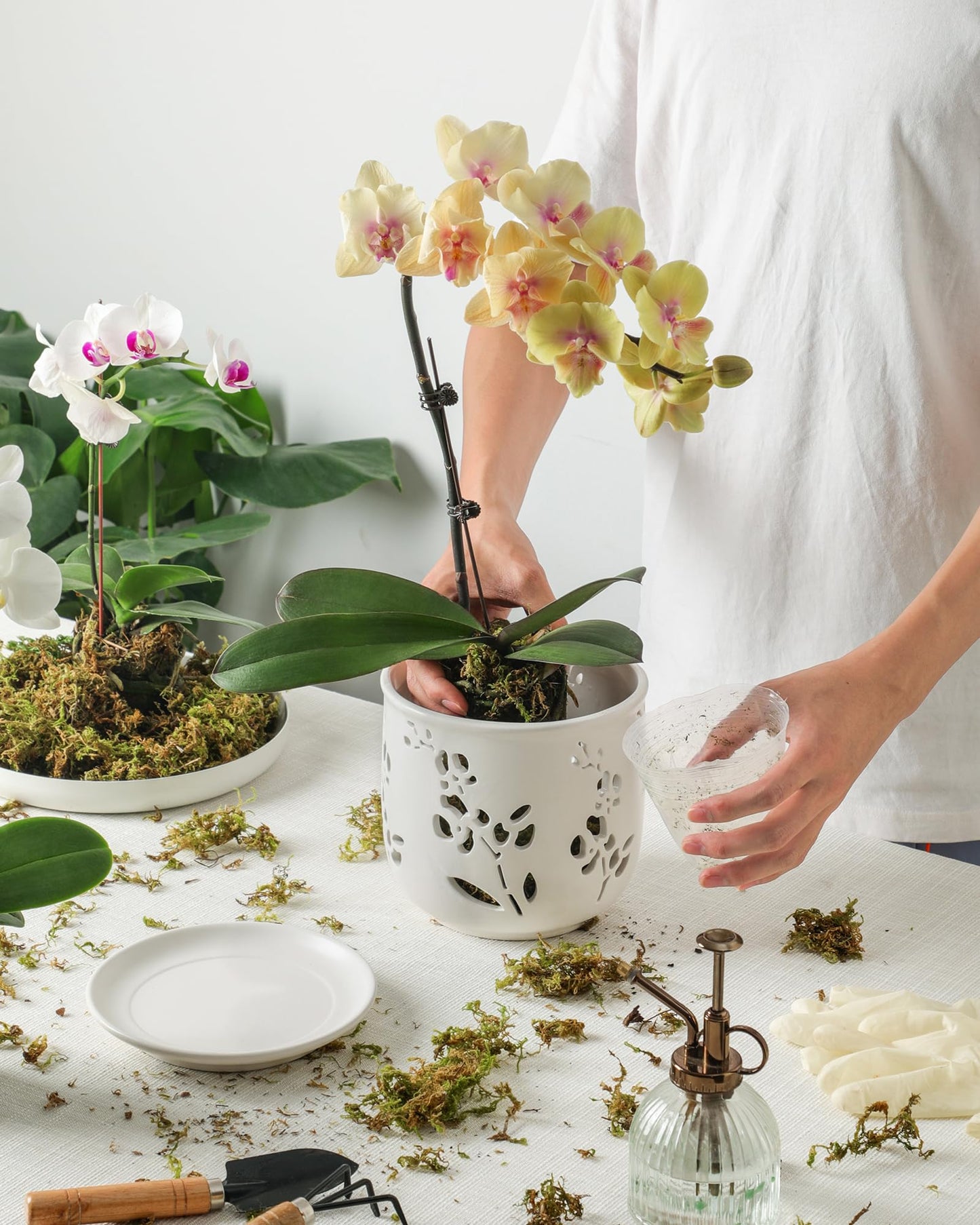 Fayoula Orchid Pots 6.5 Inch Large with Drainage Holes Ensuring Healthy Growth & Easy Repotting, Premium Ceramic for Indoor and Outdoor, Perfect Home Thriving Orchids。