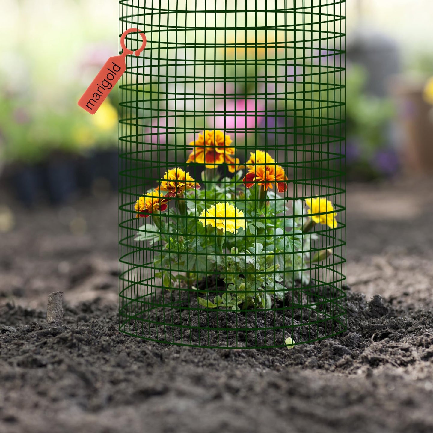 Soleeya 21Pcs 24"x 12" Plant Protectors from Animals, Wire Protectors for Plants, Plant Cages Chicken Wire Cloche with Ground Stakes and Nylon Ties for Garden Flower Vegetables (7 Set)
