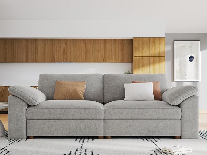 EASE MOOSE Modern Loveseat Sofa