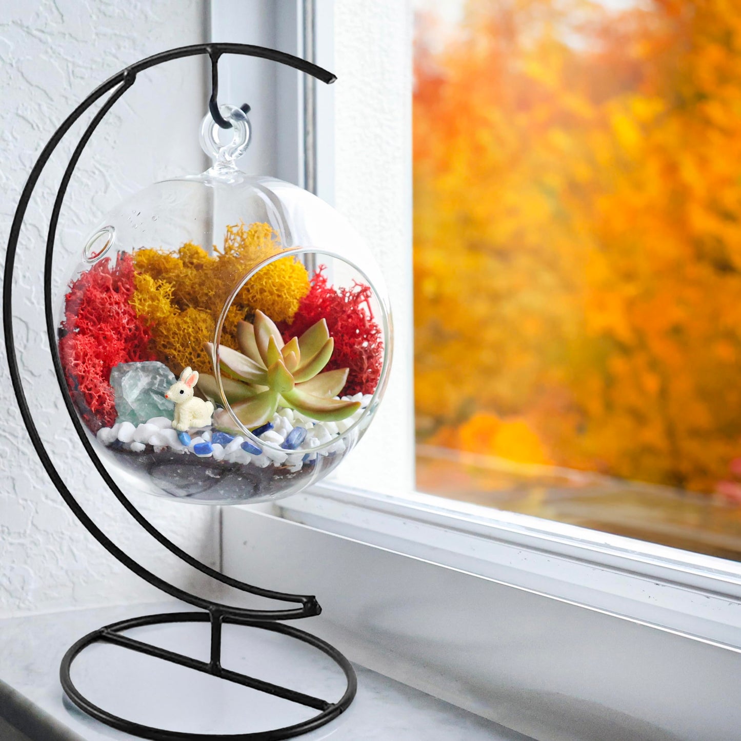 Creations by Nathalie DIY 5" DIY Globe Terrarium Kit - Build Your Own Glass Terrarium for Adults & Teens with Moss, Crystals, Tools & Decorative Figurine - Mini Ecosystem (Plant Not Included)