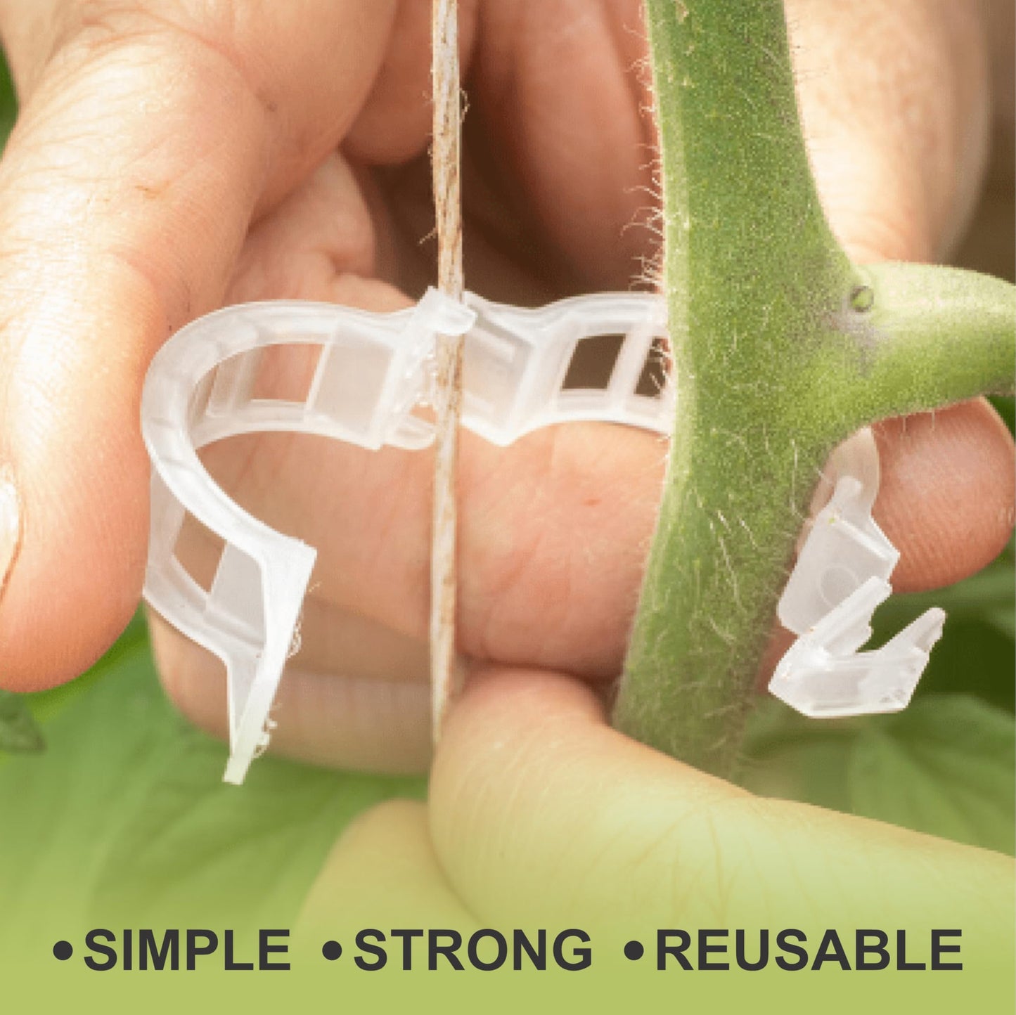 75 Pcs Bendable Moss Pole Monstera Plant Support Clips - Moss Poles for Climbing Plants, Plant Stakes for Indoor Plants - Coco Coir Pole Moss Stick for Monstera, Pothos.
