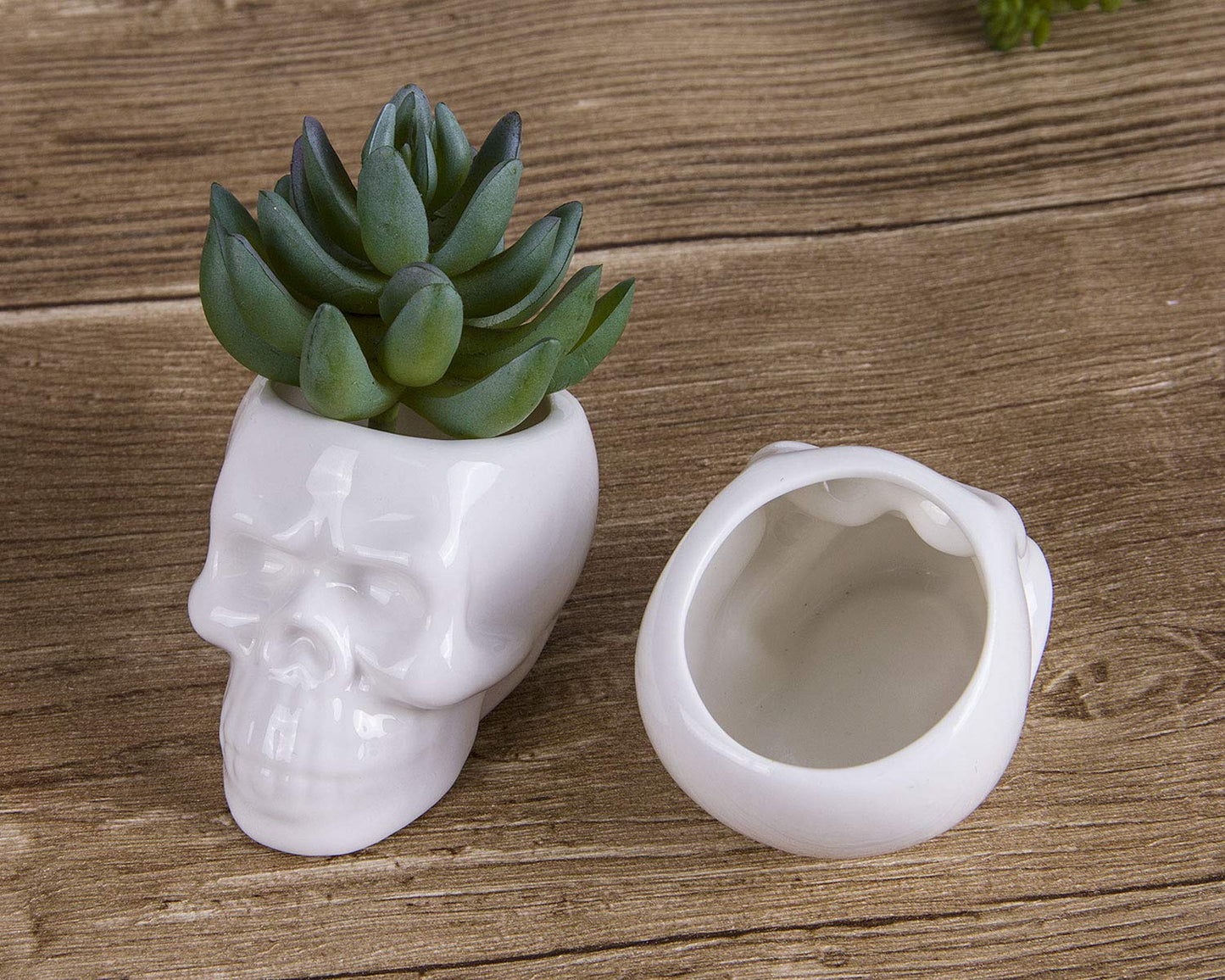 VanEnjoy Set of 3 Ceramic Skull Succulent Pots and Planters Creative Cactus Plant Pot Pen Pencil Holder, Home Office Bedroom Desk Decoration