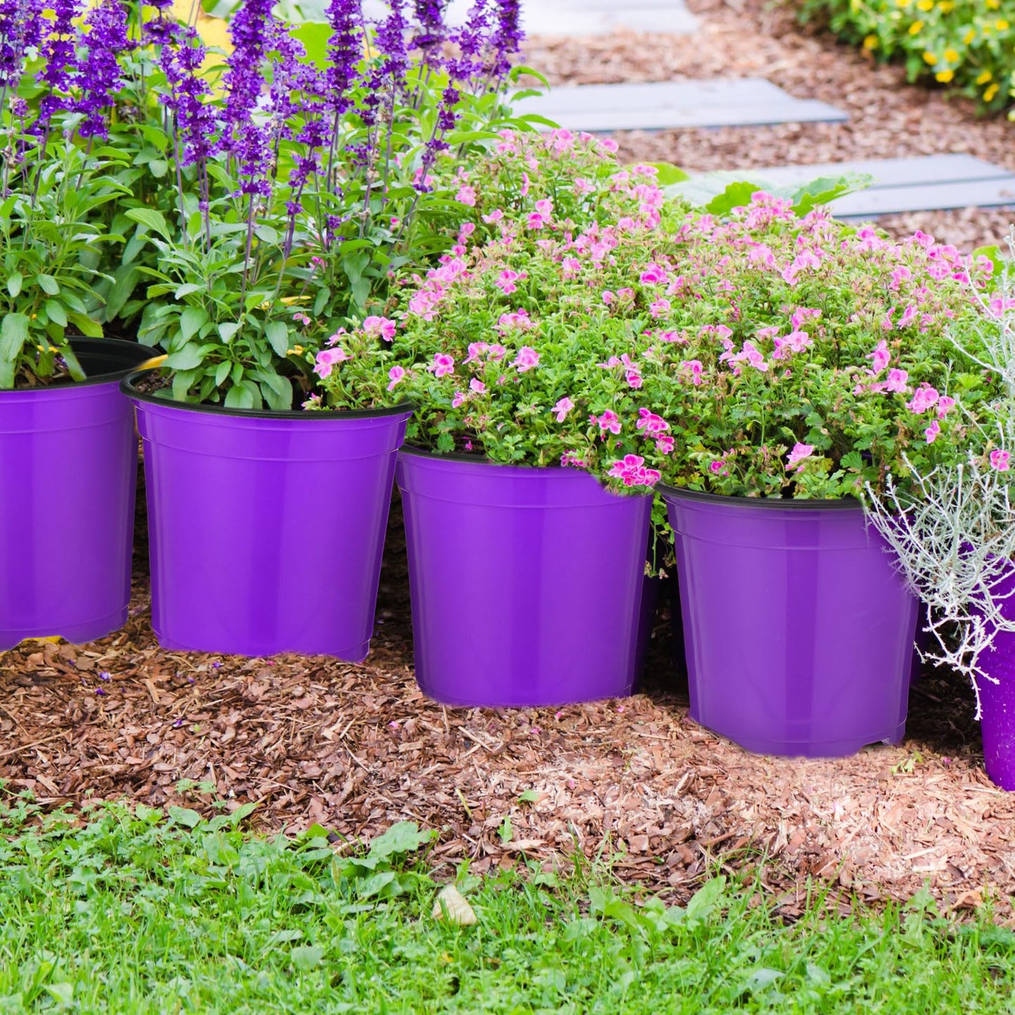 Havawish 150 Pcs 4 Inch Plastic Nursery Pots Seedling Starting Pots with Drainage Holes Thicken Flower Planters Seed Starting Indoor Outdoor for Seedling Cutting Transplanting(Purple)