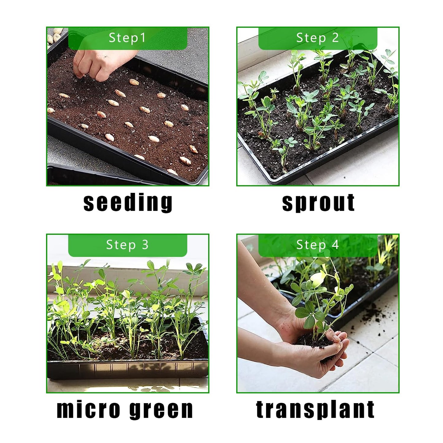RooTrimmer 10 Pack 1020 Trays, Extra Thick Heavy Duty Seed Starting Trays - No Holes, No Leak, Reusable Propagation Flats for Microgreens, Seedlings, Plant Germination, Fodder and Transplant