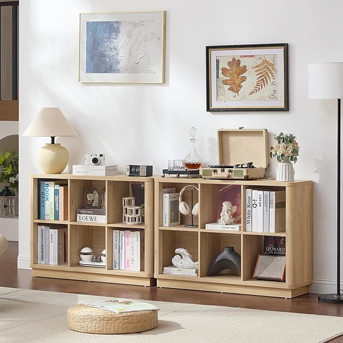 Joaxswe 6 Cube Storage Book Shelf, Floor Standing 2-Tier Wooden Bookshelf