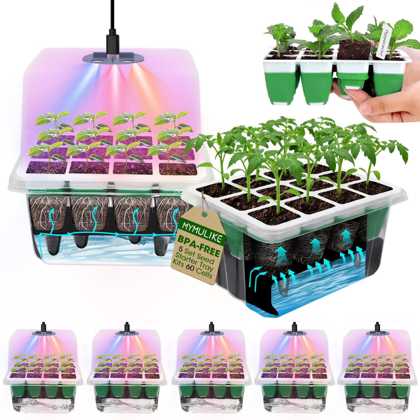 MYMULIKE Seed Starter Tray with Grow Light,5 Pack 60 Cells Seedling Tray Kit Reusable & Dishwasher Safe for Starting Vegetable, Flower & Herb Seeds Indoor Grow Kit for Deep-Rooted Seedlings