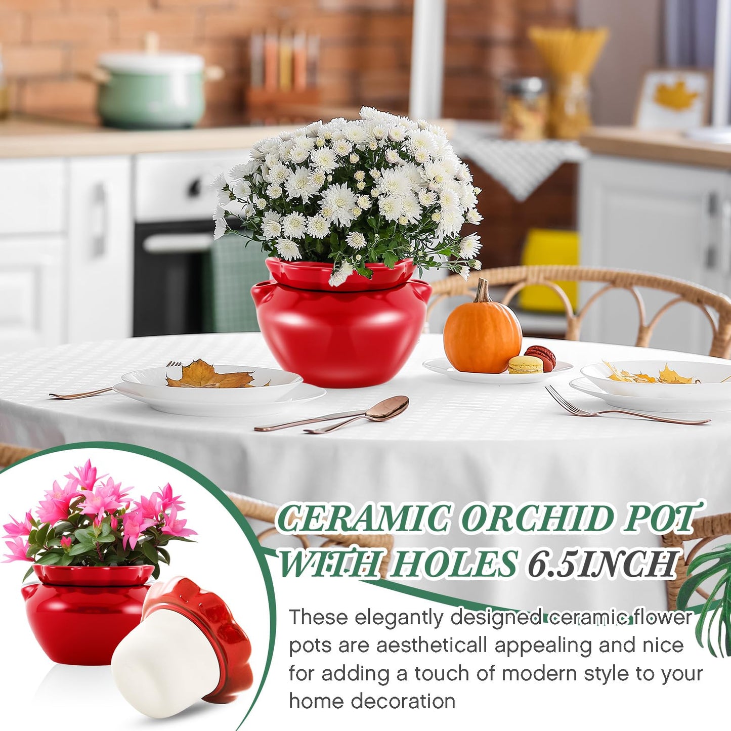 Sunnychicc 6.3 Inch African Violet Pots, Red Self Watering Pot for Indoor Plants, Ceramic Easy Plant Self Watering Pot for Thriving Plant Flower Maintenance