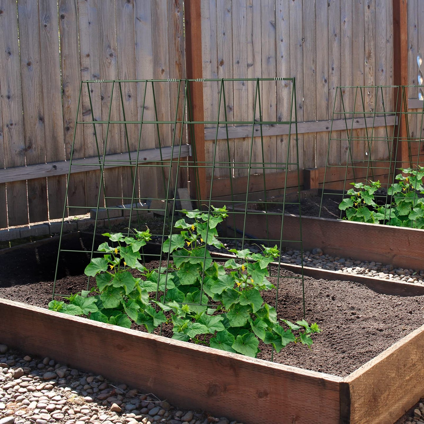 AGTEK 2 Packs 18" x 46" Foldable Cucumber Trellis with Zip Ties Plant Support A Frame Metal Trellis for Cucumber, Climbing Plants, Vegetable Flowers