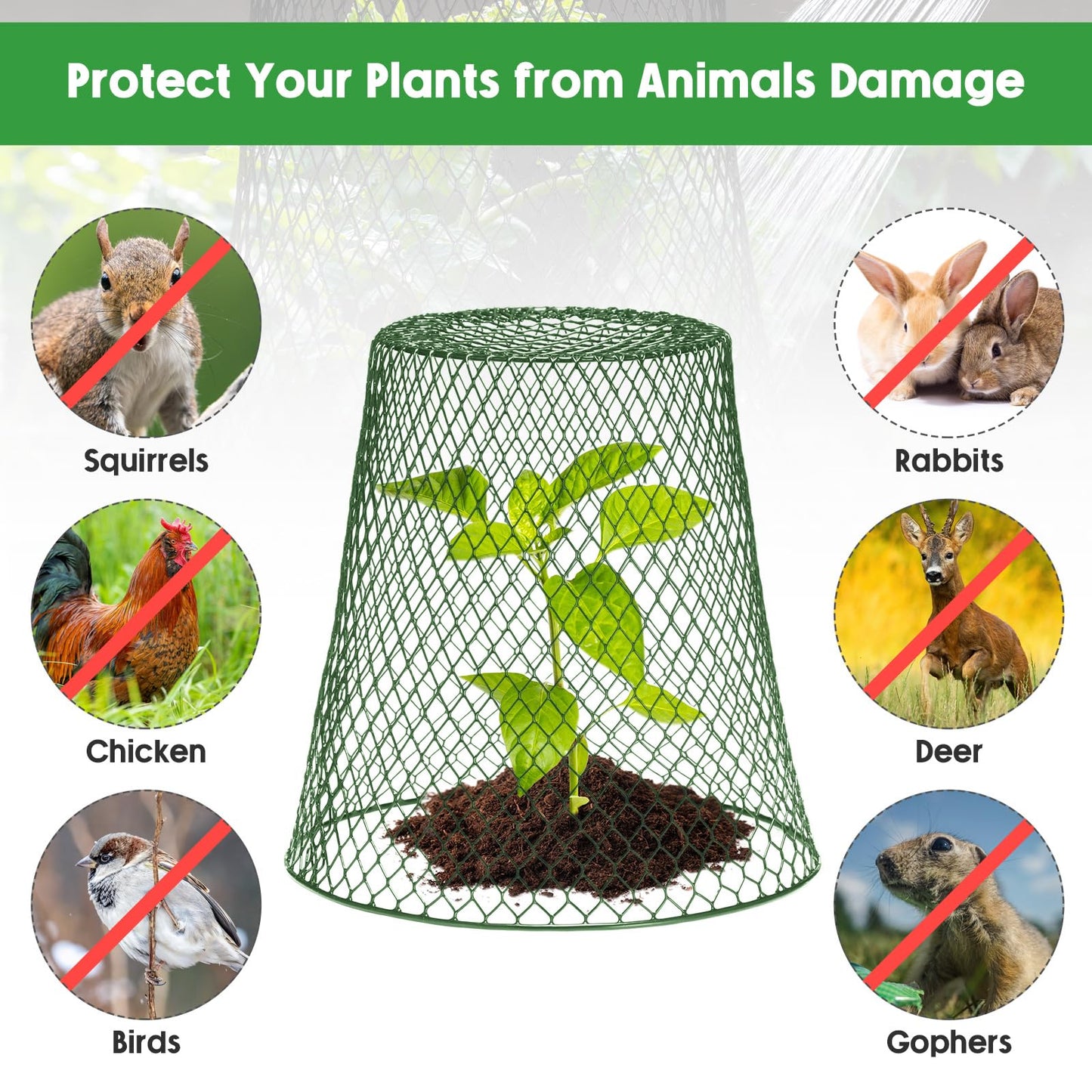 Geosar 30 Pcs 9 Inch Chicken Wire Cloche Plant Protector Cover Metal Garden Cloche Netting Protection Cages Vegetables Flowers with Garden Stakes Avoiding Chicken Rabbit Squirrels Birds (Green)