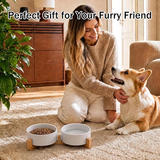 MateeyLife Ceramic Dog and Cat Bowls with Stand, 2-Pack Food and Water Bowl Set - Non-Slip Pet Bowls for Cats,Puppies and Small Dogs, 13.5OZ（White）