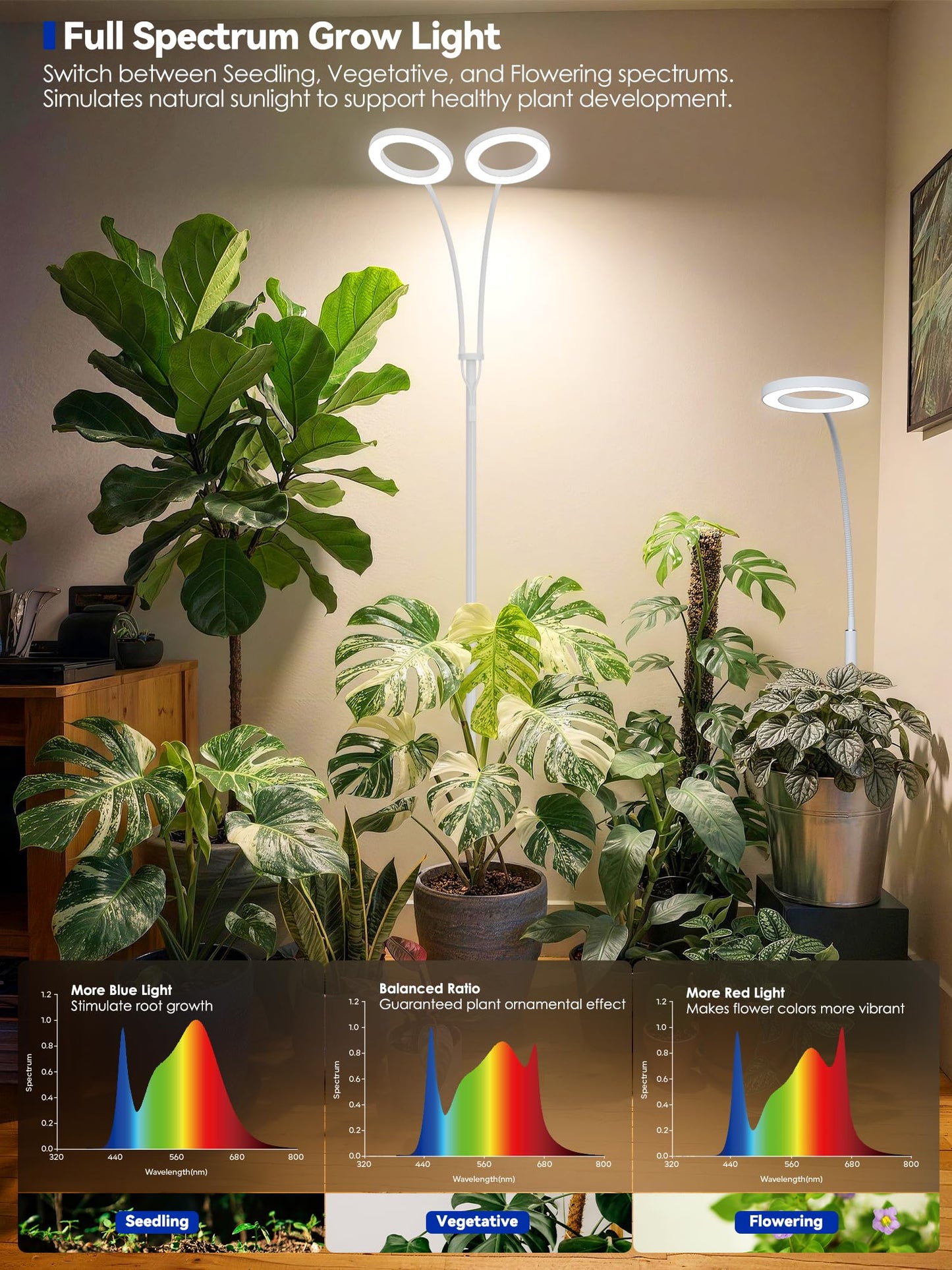 GLOWRIUM Grow Lights for Indoor Plants, Full Spectrum LED Grow Light Floor Lamp with Stand Adjustable Height and Angle, Black Plant Light with 3/9/12H Grow Light Timer (White, 36W)