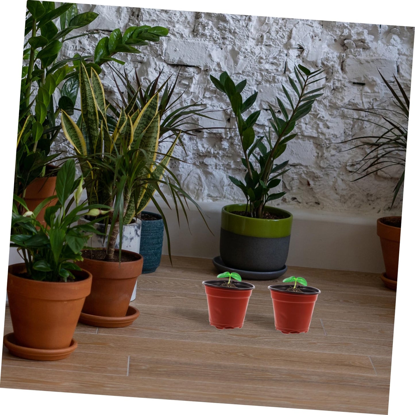 HAKIDZEL 100pcs Plastic Strawberry Nursery Cup Lightweight Plant Growing Pots for Flowers Vegetables and Saplings Great Air Permeability and Automatic Water Absorption for Your Garden