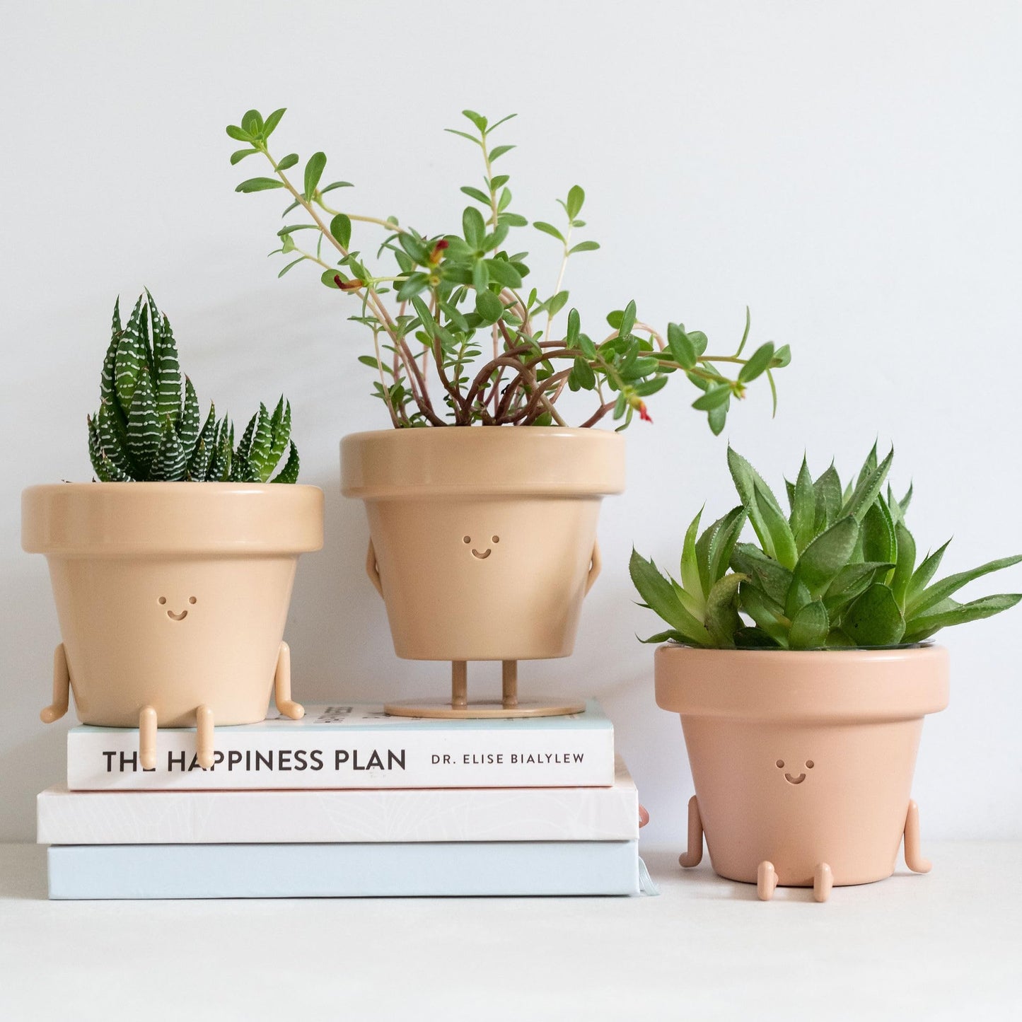 Cute Indoor Plant Pots Set of 3, Unique Plastic Succulent Pots for Plant Lovers (Plants NOT Included)