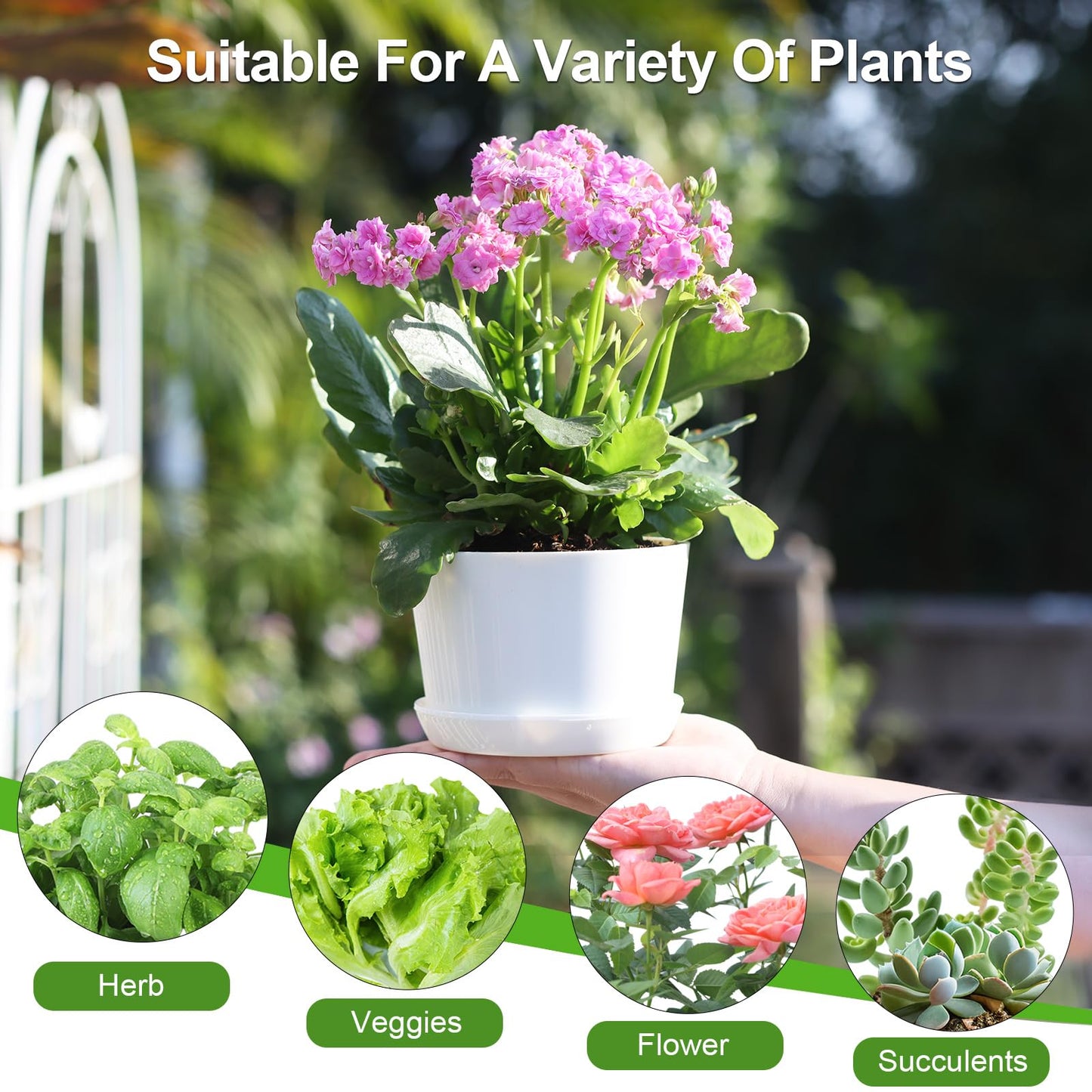 Oliz 4.7 Inch Plastic Plant Pots, Round Classic Planters with Drainage Holes and Saucers for Indoor Outdoor Plants, Perfect for African Violet, Snake Plant, Succulents (White 8 Pack)