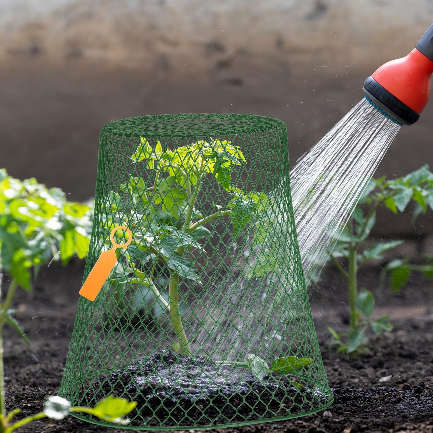 Geosar 30 Pcs 9 Inch Chicken Wire Cloche Plant Protector Cover Metal Garden Cloche Netting Protection Cages Vegetables Flowers with Garden Stakes Avoiding Chicken Rabbit Squirrels Birds (Green)